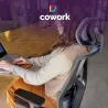 Puesto Fijo